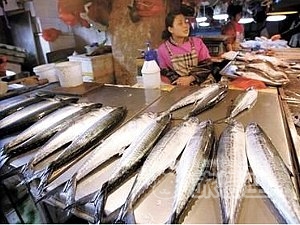 仙人伝説の 蓬莱 と異国風情の避暑地 青島