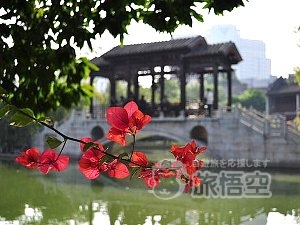 南国 陶磁器 の都 佛山 日帰り ツアー