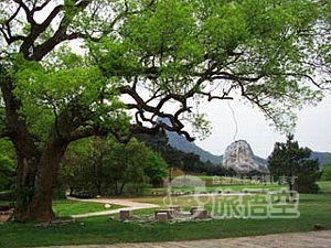 桂林 山水 ゴルフ リゾート クラブ