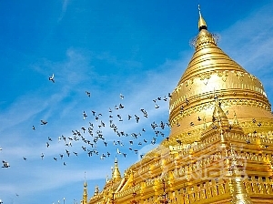 ヤンゴン 旅行 / ミャンマー