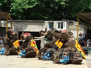 打洛森林公園 