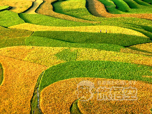 龍脊棚田 桂林