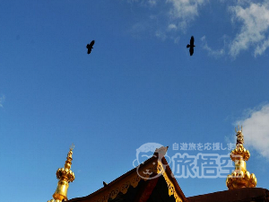 飛来寺 香格里拉 シャングリラ