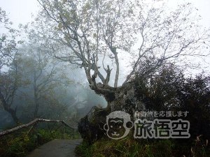 鹿回頭公園 海南島