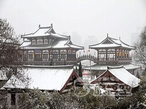 青龍寺 城壁 陝西歴史博物館 大雁塔