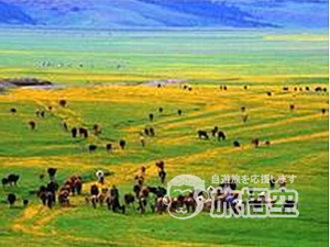 遊牧民カザフ族の放牧地！南山牧場＆紅山公園１日観光