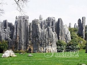 世界遺産 石林 と 九郷鍾乳洞 1日 日帰り ツアー