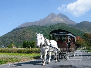 九州 福岡 別府 熊本