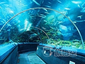 海洋水族館 上海