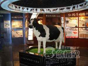 寧夏博物館 銀川